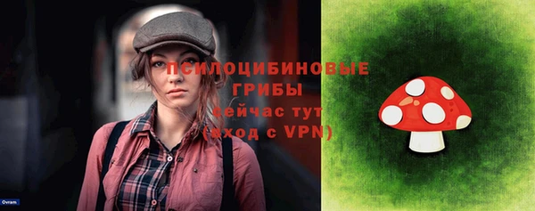 дживик Костерёво