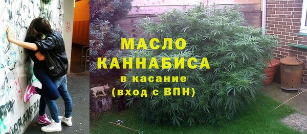 дживик Костерёво