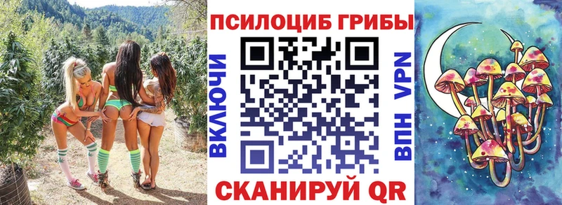 Галлюциногенные грибы мицелий Ступино